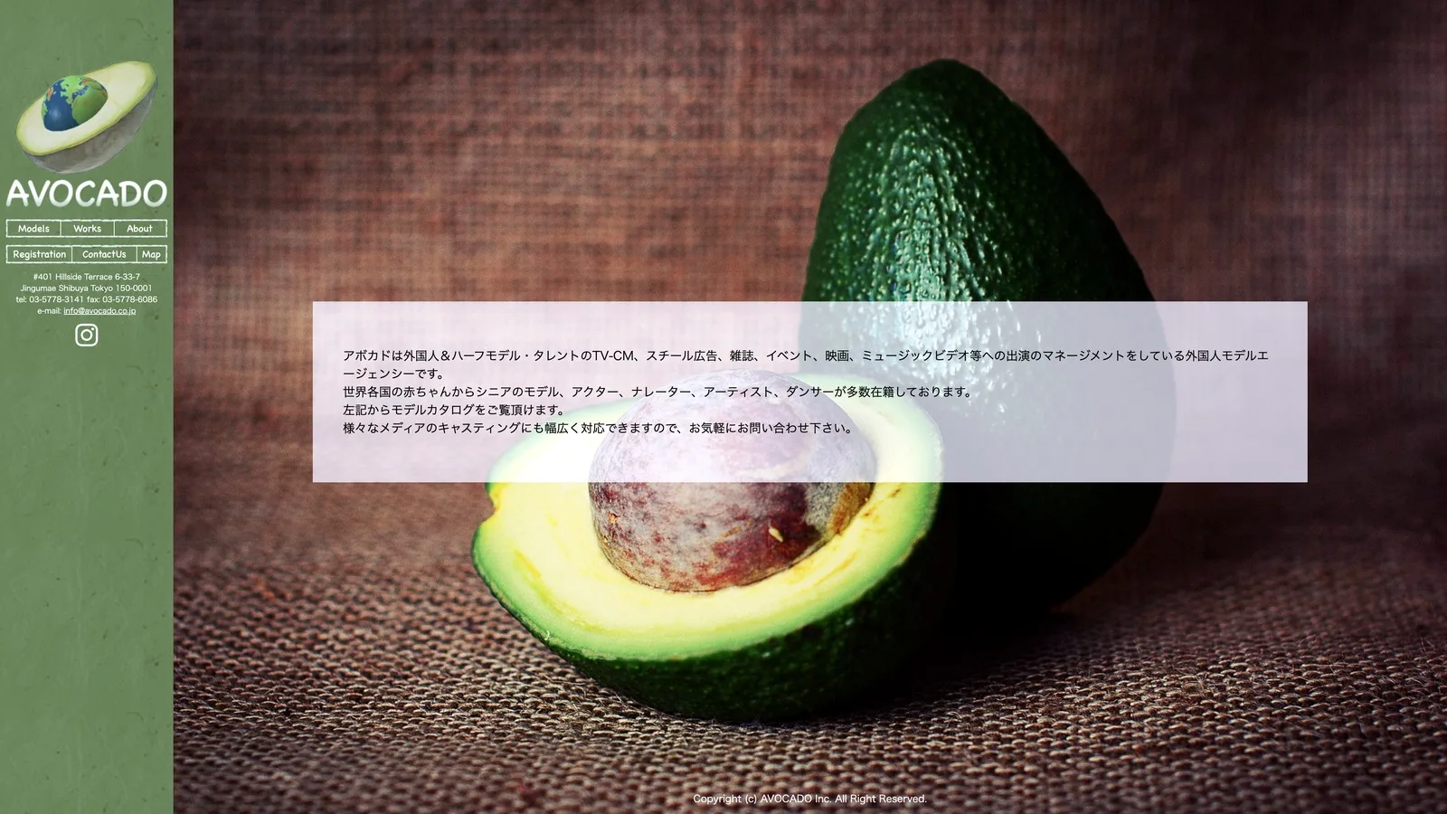 アボカド公式トップのアボカド写真と会社説明